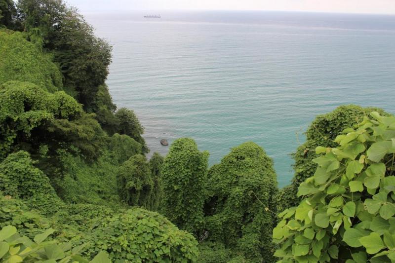 Orbi Sea Tower David